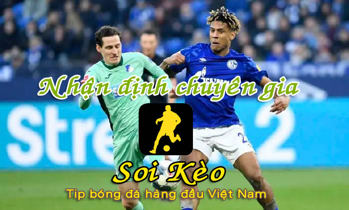 Soi Kèo Schalke - Hoffenheim