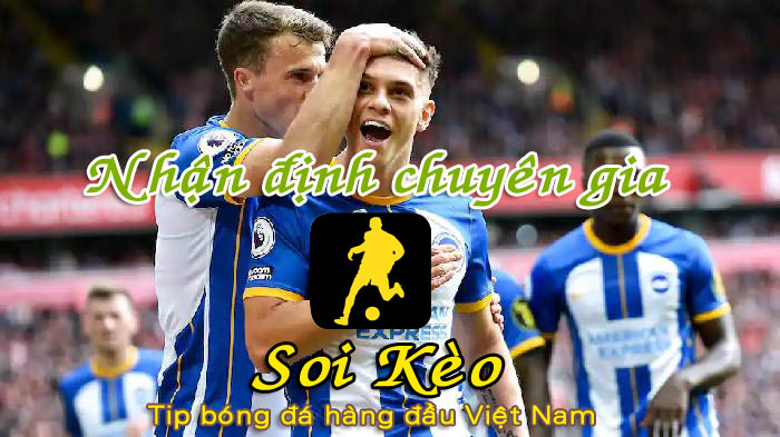 Soi Kèo Brighton - Nottingham