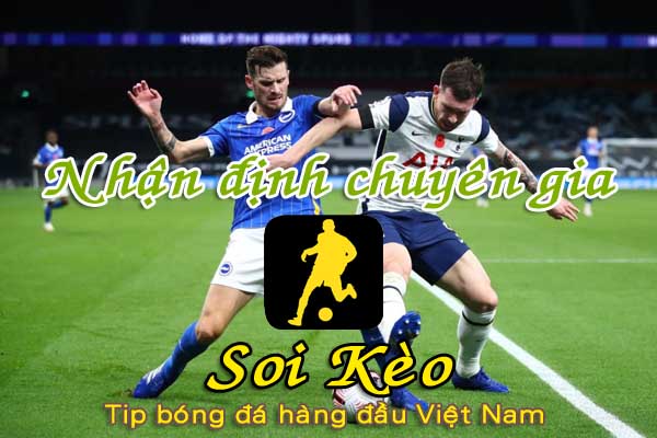 Nhận định Soi Kèo Tottenham vs Brighton: Xây chắc top 4