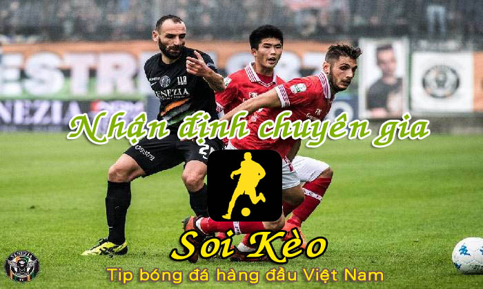 Nhận định Soi Kèo Salernitana vs Venezia: Tăng tốc