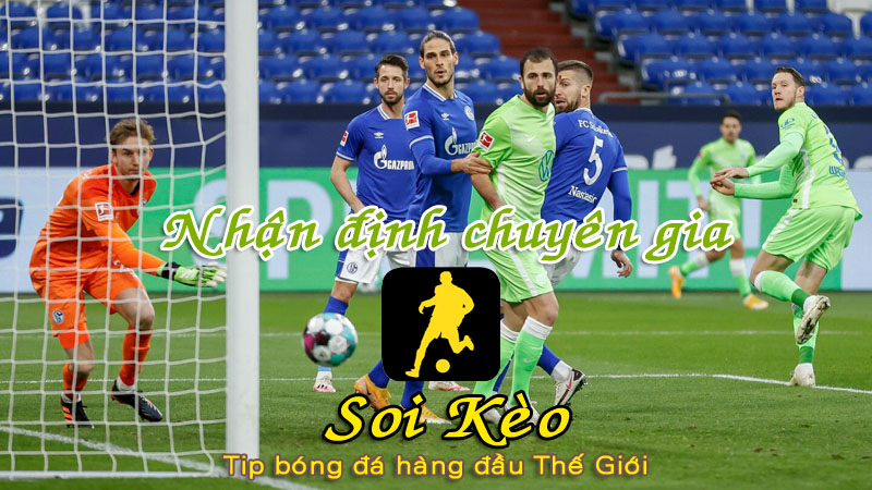 Soi Kèo Schalke - Wolfsburg