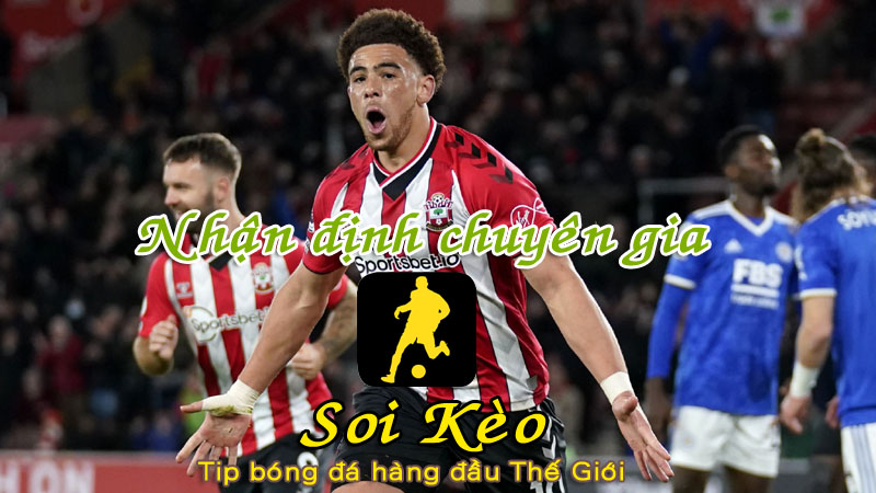 Soi Kèo Southampton - Brentford