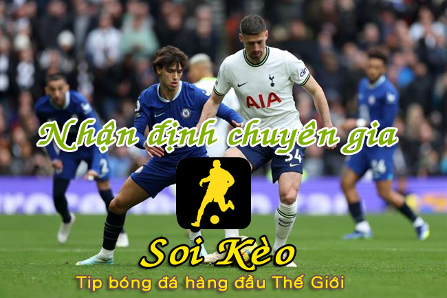 Soi Kèo Sheffield - Tottenham