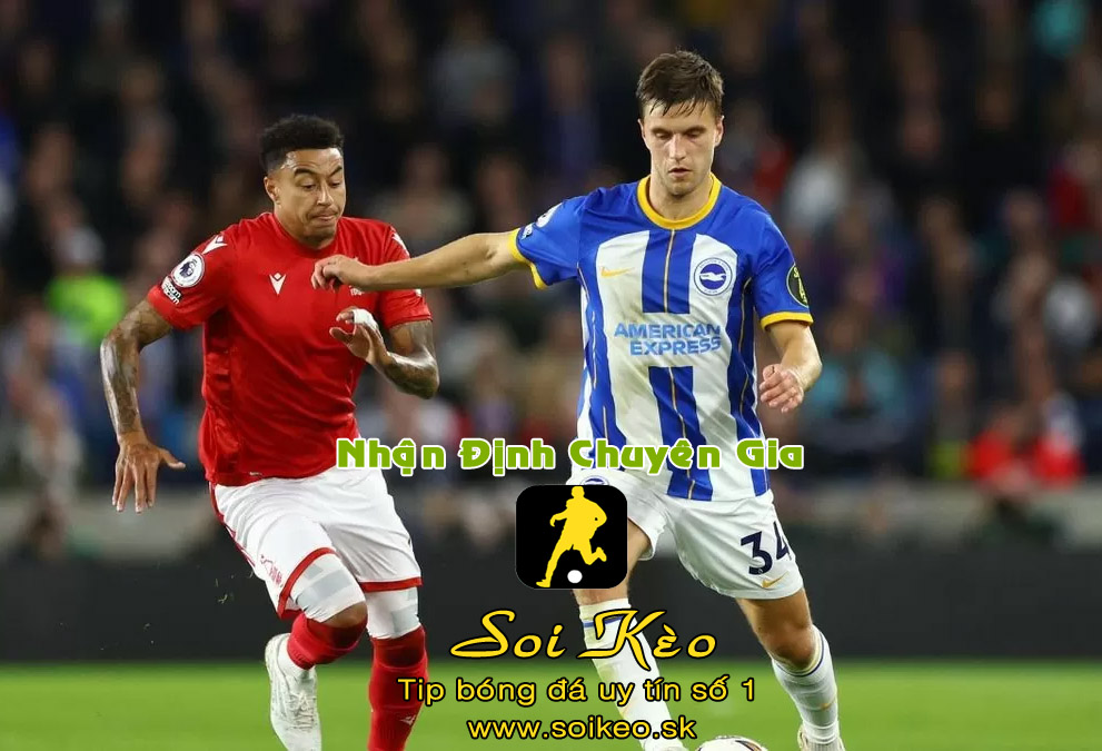 Soi Kèo Brighton - Nottingham